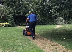 Lawn Rescue: How to Tackle Thatch Build-up